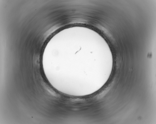 X0000090491113200708102213