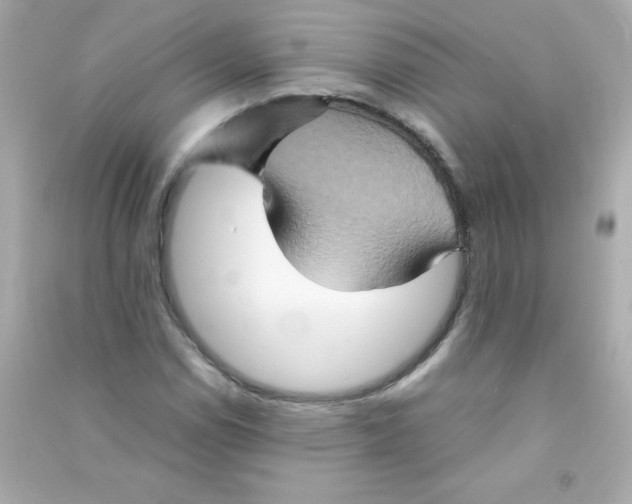 X0000090491114200708102213