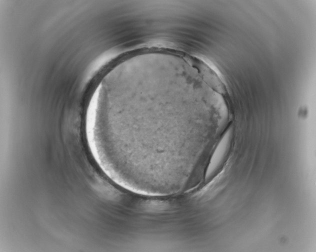 X0000090491115200708102213