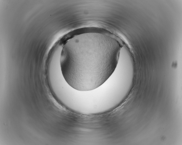 X0000090491116200708102213