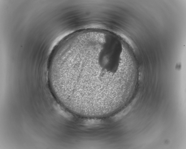 X0000090491117200708102213