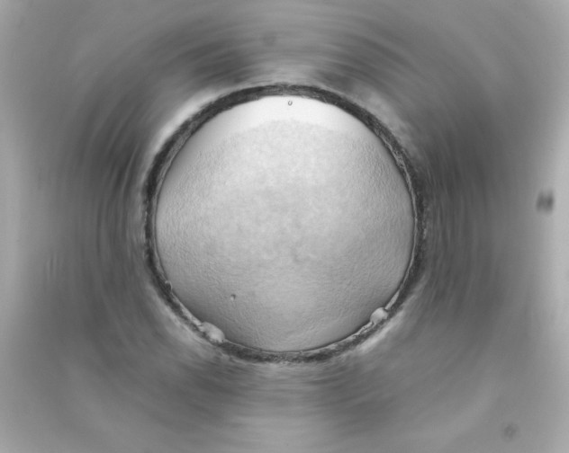 X0000090491118200708102213