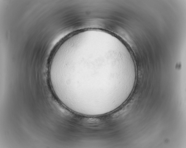 X0000090491119200708102213