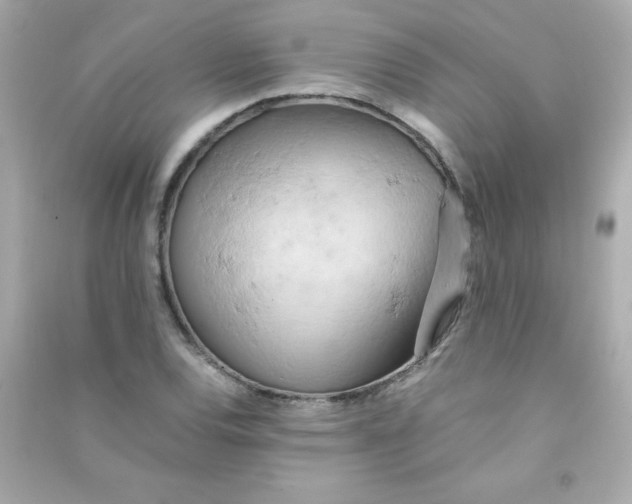 X0000090491120200708102213