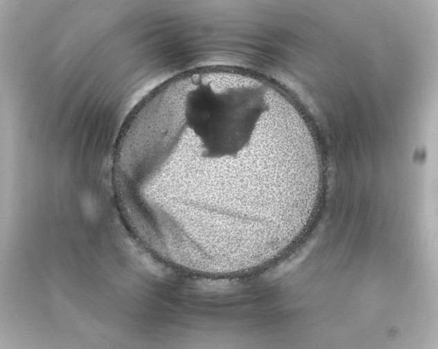 X0000090491121200708102213