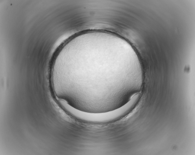 X0000090491122200708102213