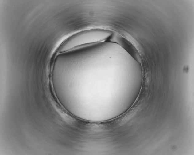 X0000090491124200708102213