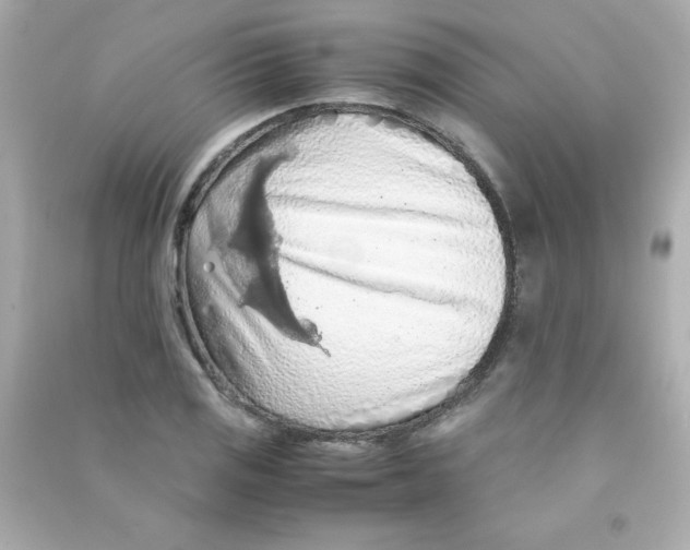 X0000090491125200708102213