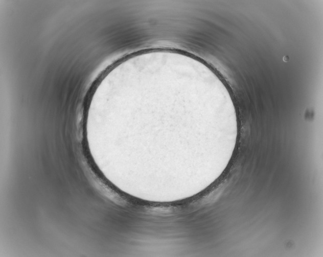 X0000090491126200708102213