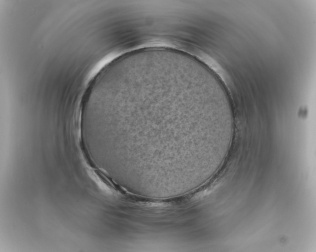 X0000090491127200708102213