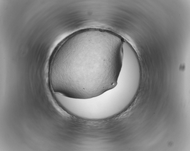 X0000090491128200708102213