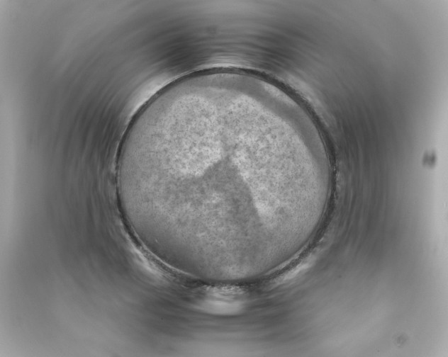 X0000090491129200708102213