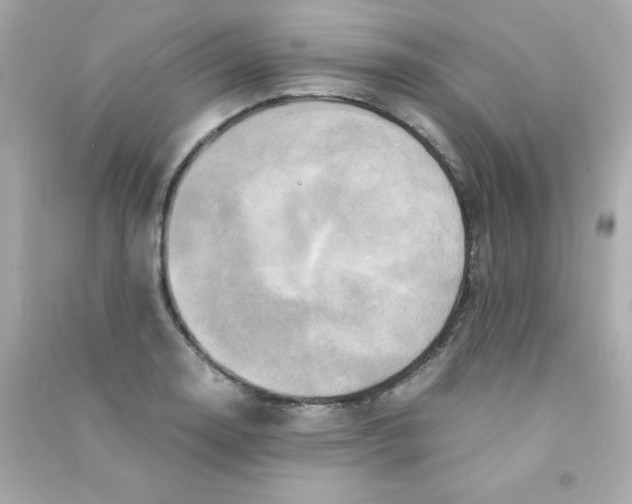 X0000090491130200708102213