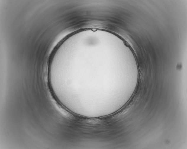 X0000090491131200708102213