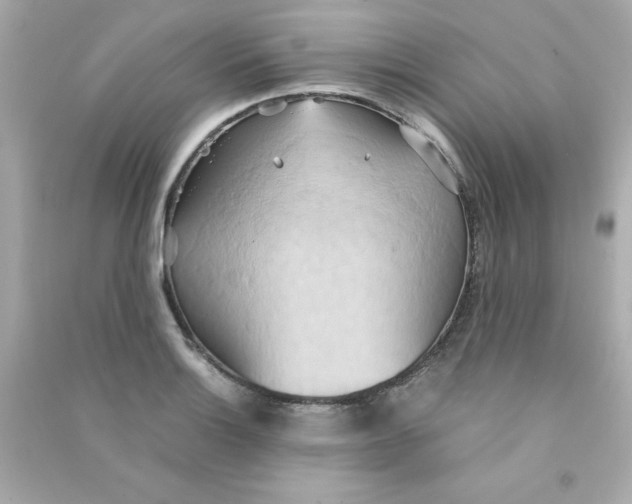 X0000090491132200708102213