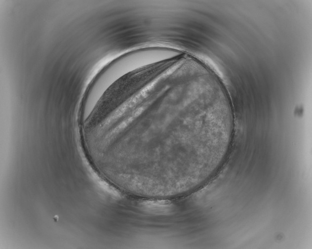 X0000090491133200708102213