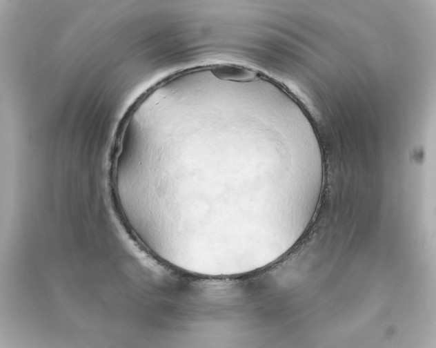 X0000090491134200708102213