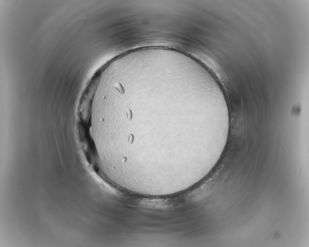 X0000090491135200708102213