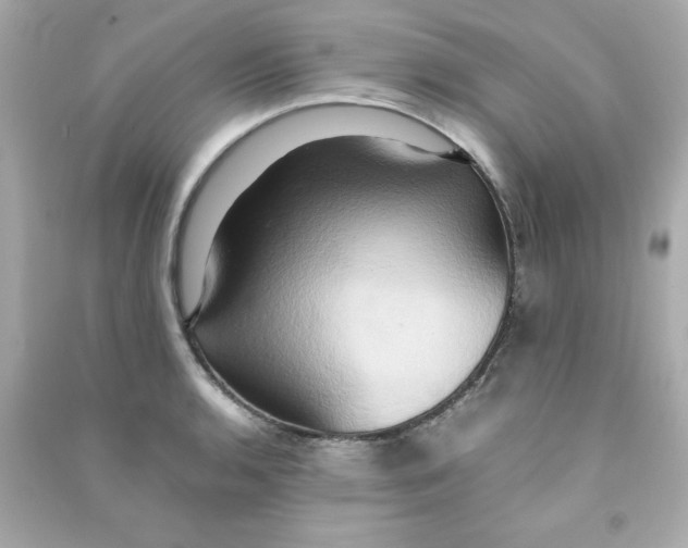 X0000090491136200708102213