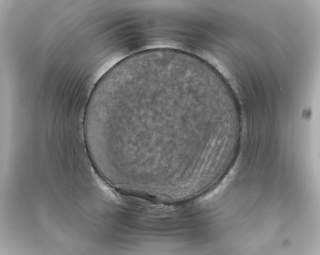 X0000090491137200708102213