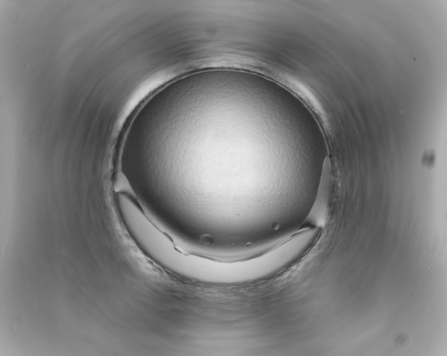 X0000090491138200708102213