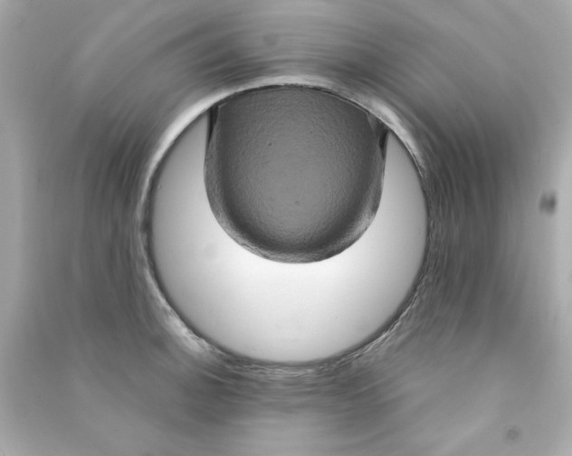 X0000090491140200708102213