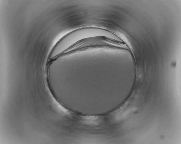 X0000090491141200708102213