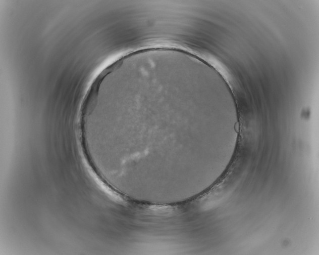 X0000090491142200708102213