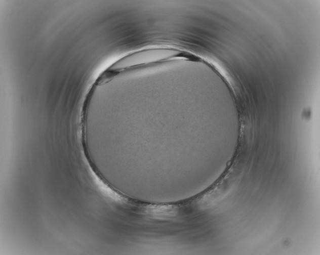 X0000090491143200708102213