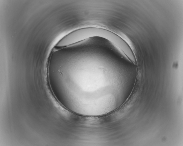 X0000090491144200708102213