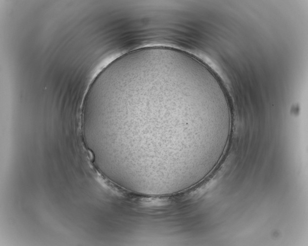 X0000090491145200708102213