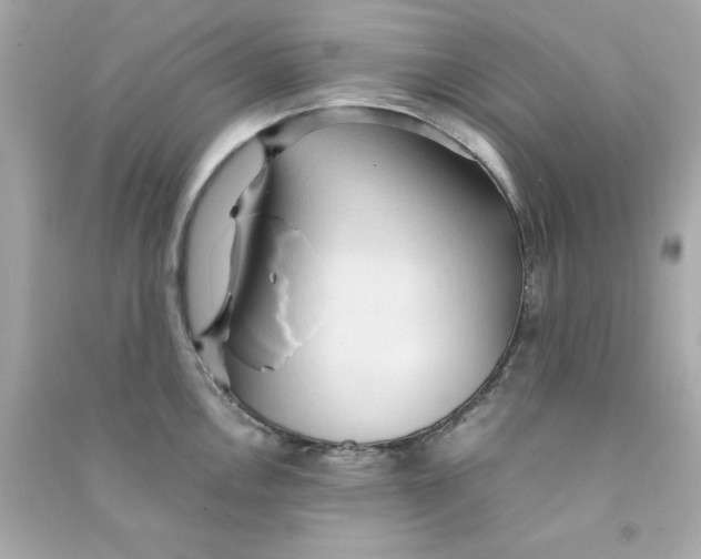 X0000090491146200708102213