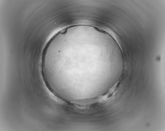 X0000090491147200708102213