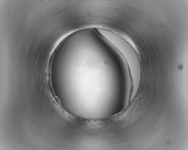 X0000090491148200708102213