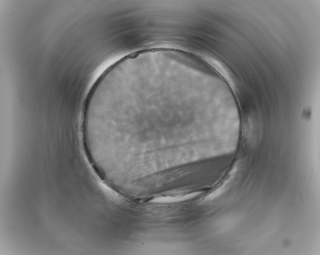 X0000090491149200708102213