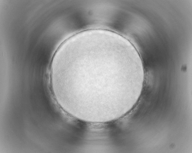 X0000090491150200708102213