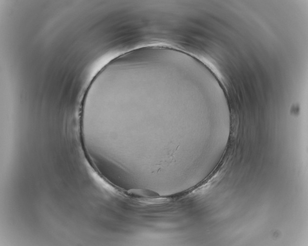 X0000090491151200708102213