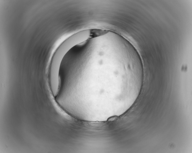 X0000090491152200708102213