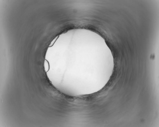 X0000090491153200708102212