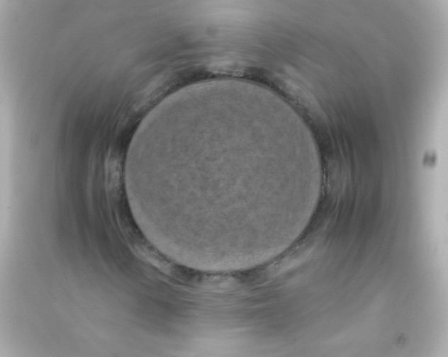 X0000090491154200708102212