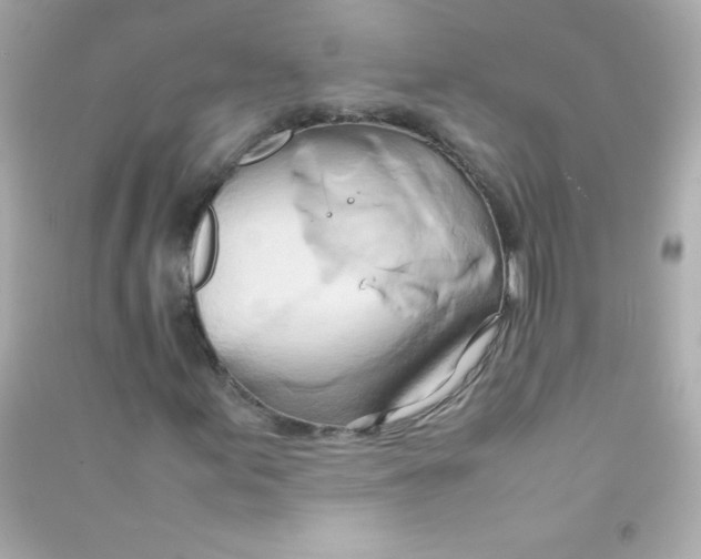 X0000090491155200708102212