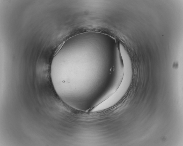 X0000090491156200708102212