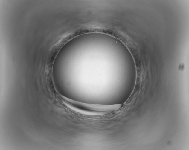 X0000090491157200708102212