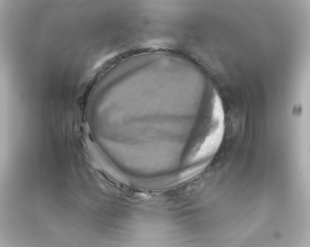 X0000090491158200708102212