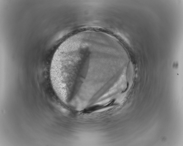 X0000090491159200708102212