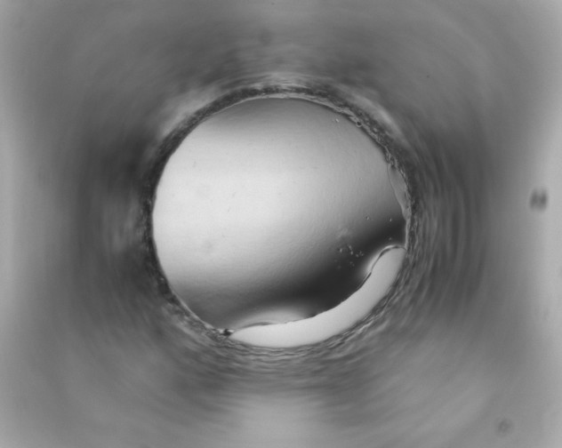 X0000090491160200708102212