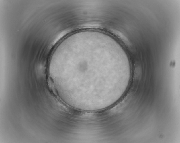 X0000090491162200708102212