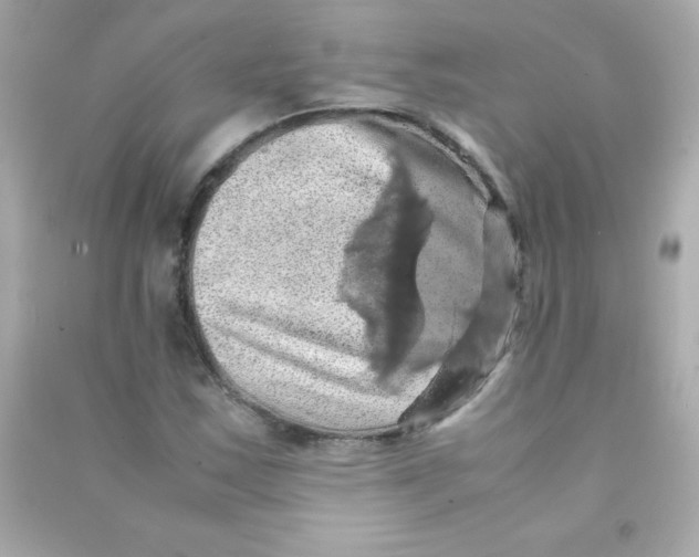 X0000090491163200708102212