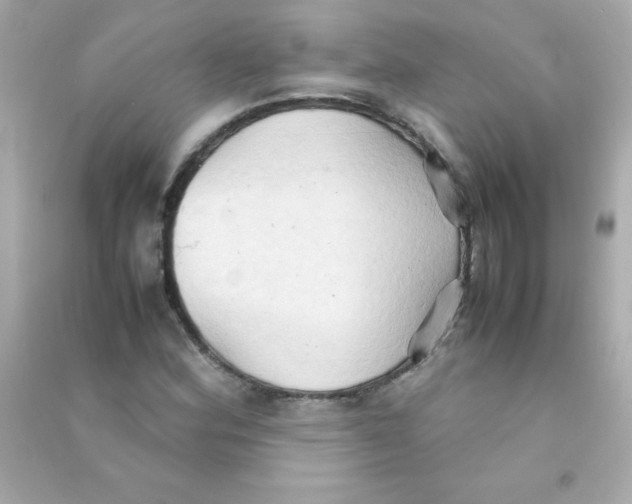 X0000090491164200708102212