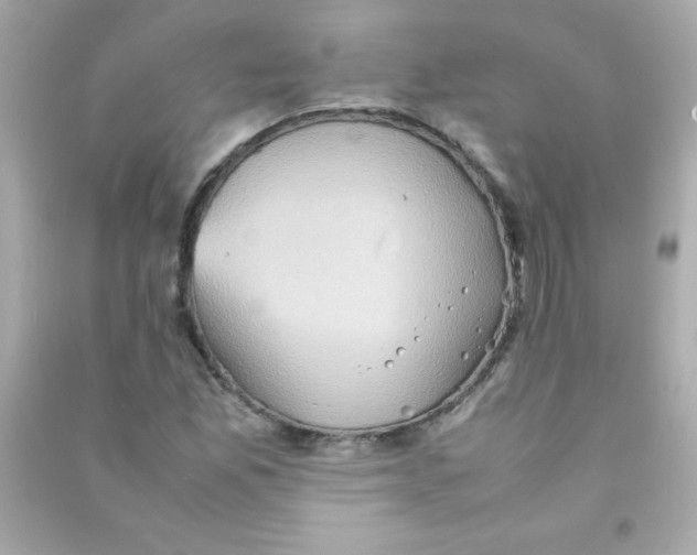 X0000090491165200708102212